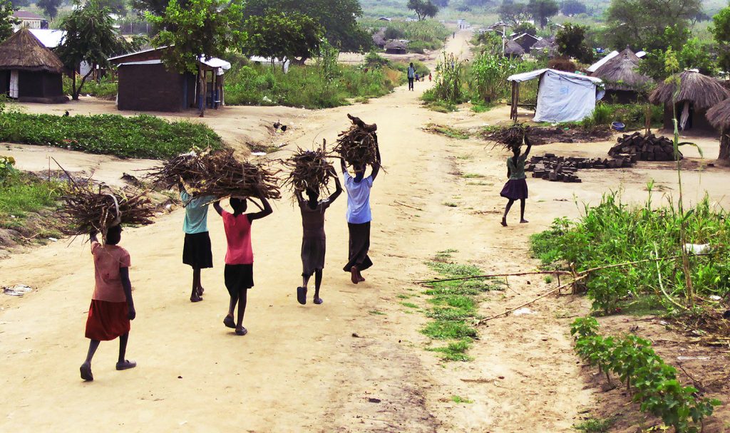 Kvinder i Bidi Bidi bærer brænde. Illustration: Biobriketter.