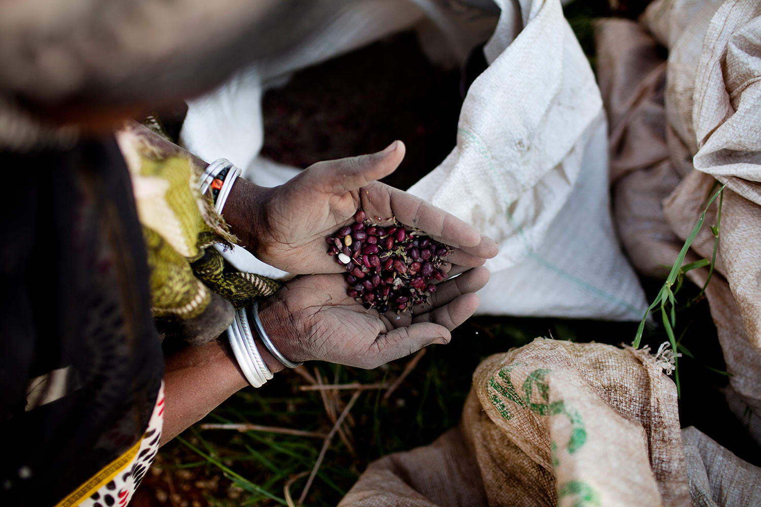 H&aelig;nder med b&oslash;nner