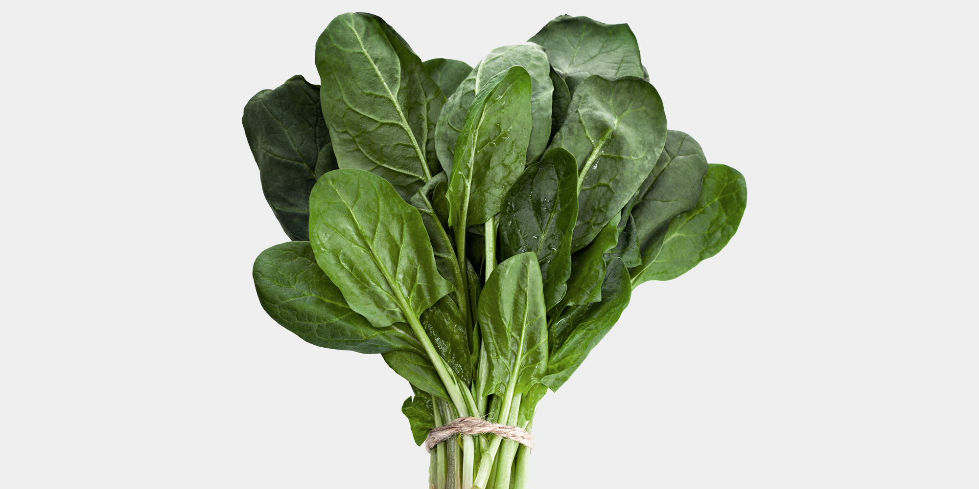 Produkt: Giv en k&oslash;kkenhave