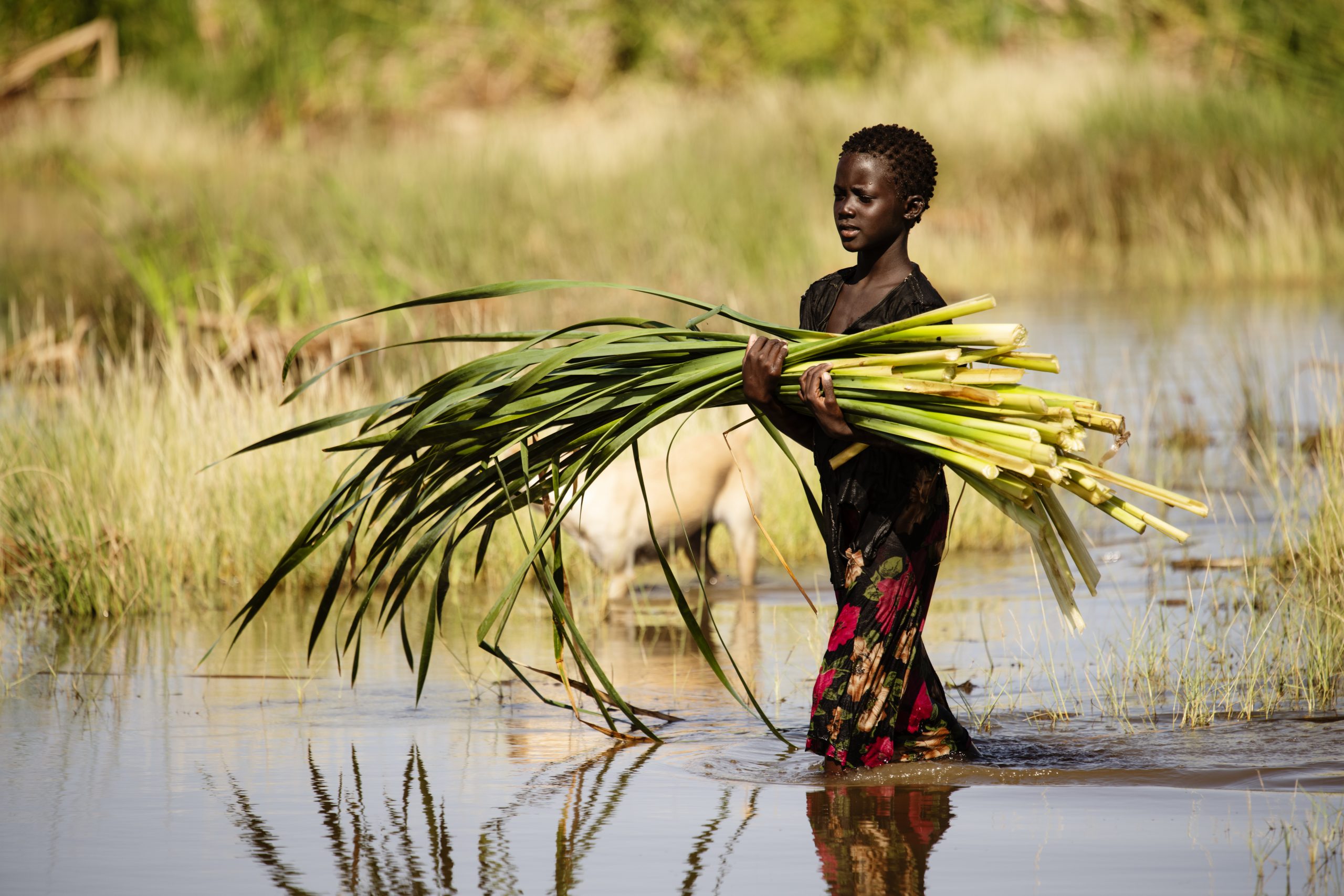 Ung kvinde løfter grønt mens hun går i vand