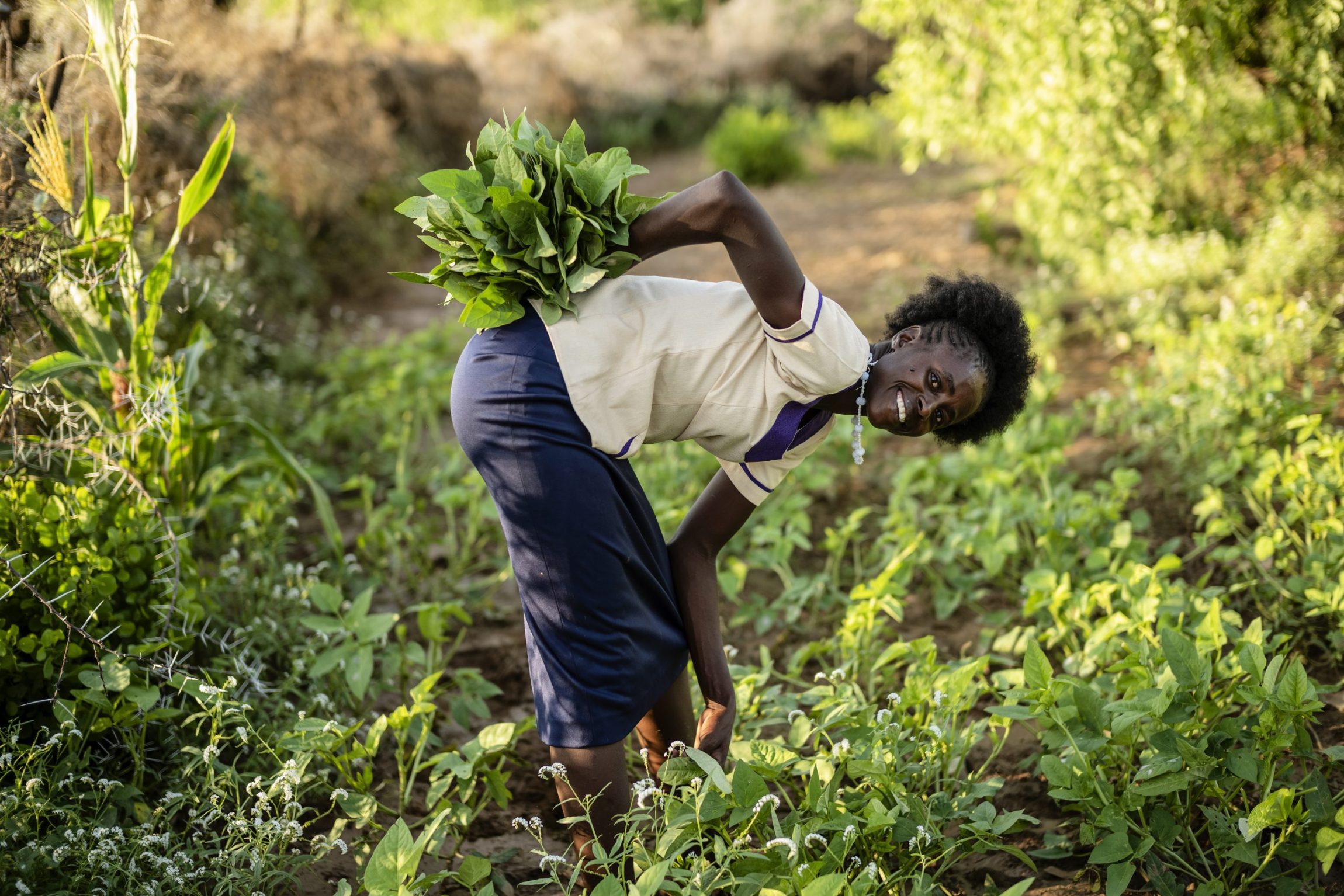 Kvinde arbejder i sin k&oslash;kkenhave. Illustration til Folkekirkens N&oslash;dhj&aelig;pls klimahj&aelig;lper.