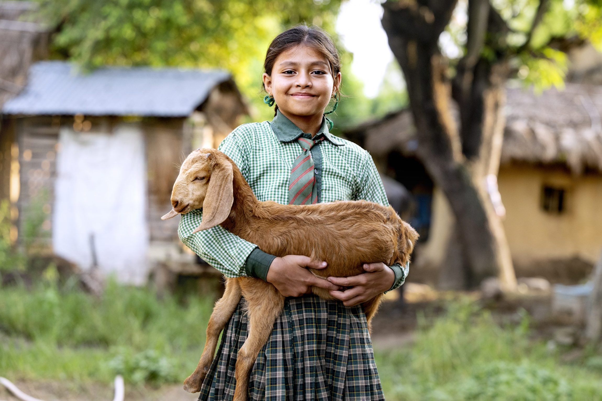 Yngre pige st&aring;r med et lille gedekid. Illustration til Giv en ged-kampagnen fra Folkekirkens N&oslash;dhj&aelig;lp.