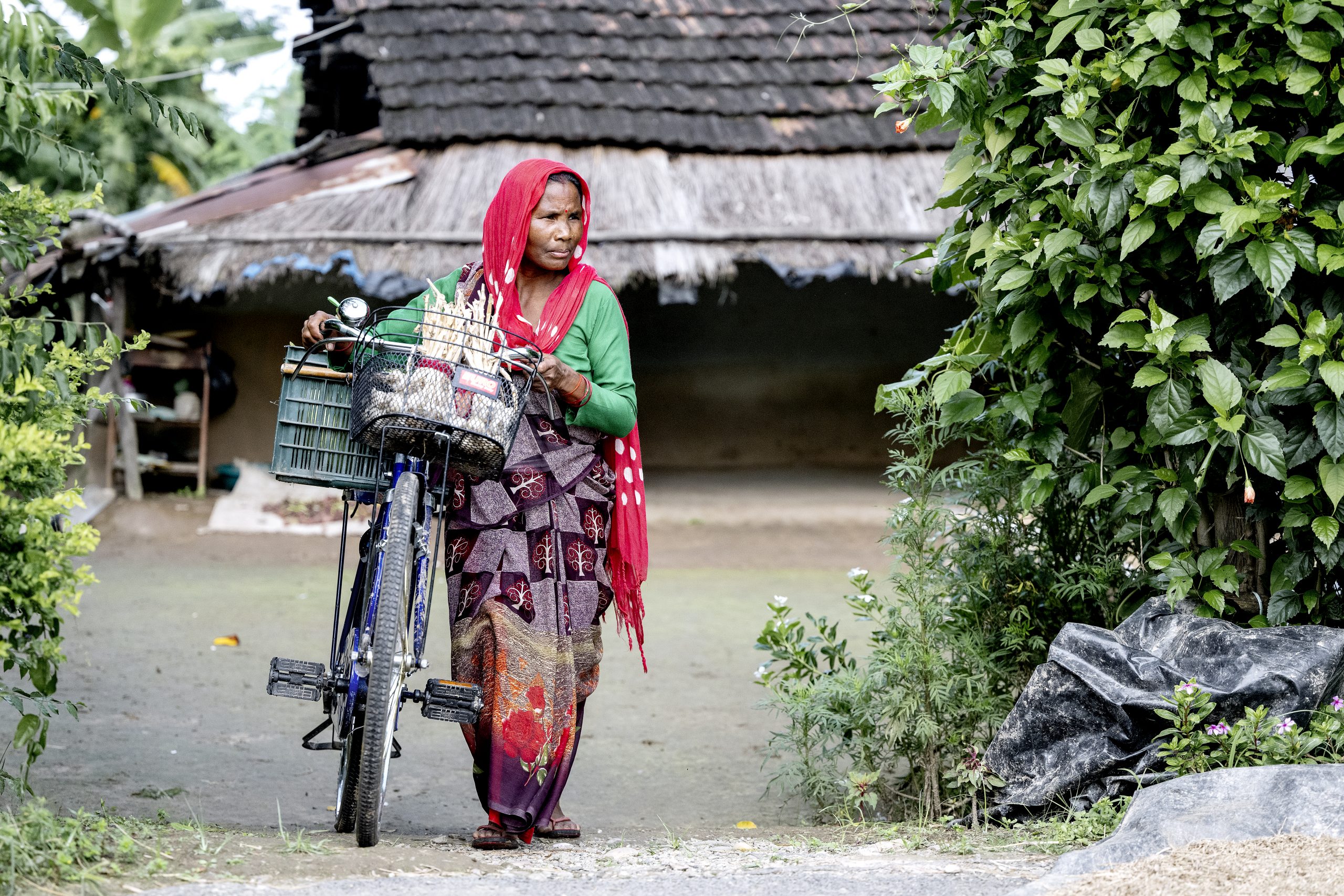 Kvinde med gr&oslash;nsager i cykelkurven tr&aelig;kker sin cykel langs en vej