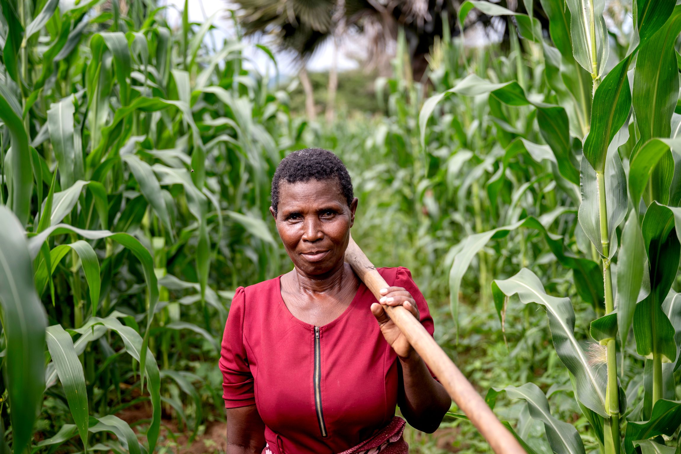 En kvinde i Malawi står ved det mikrolandbrug, som hun driver.