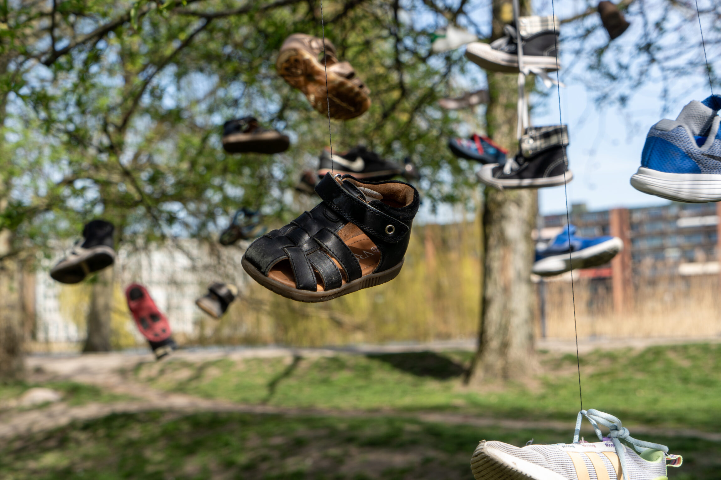 Skoene i træerne symboliserer de 31 børn, der hver dag verden over bliver lemlæstet eller mister livet i krig.